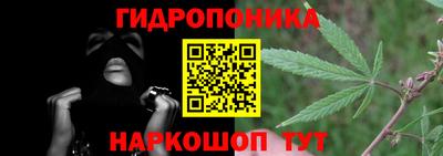 шишки Краснознаменск