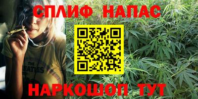 шишки Краснознаменск